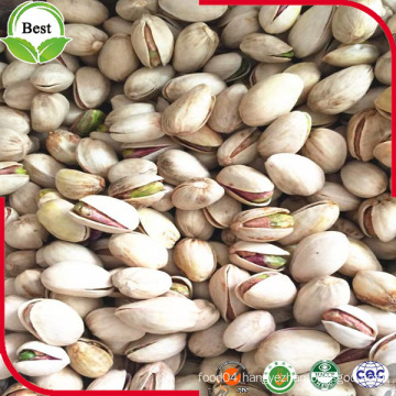 High Quality and Low Price Pistachio